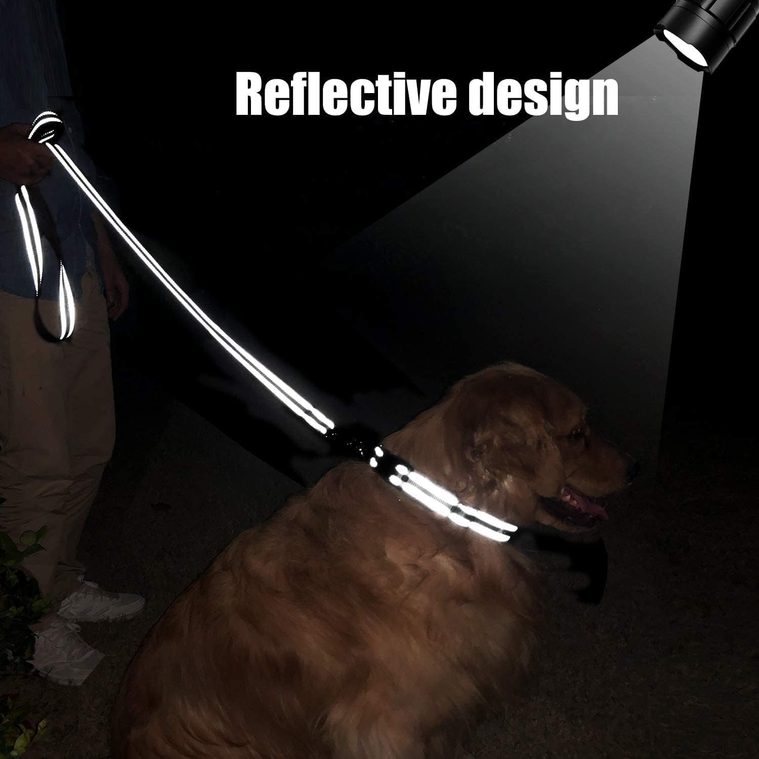 FunTags 6FT Reflective Dog Leash with Soft Padded Handle for Training,Walking Lead for Large & Medium Dog,1 Inch Wide,Black - Image 4