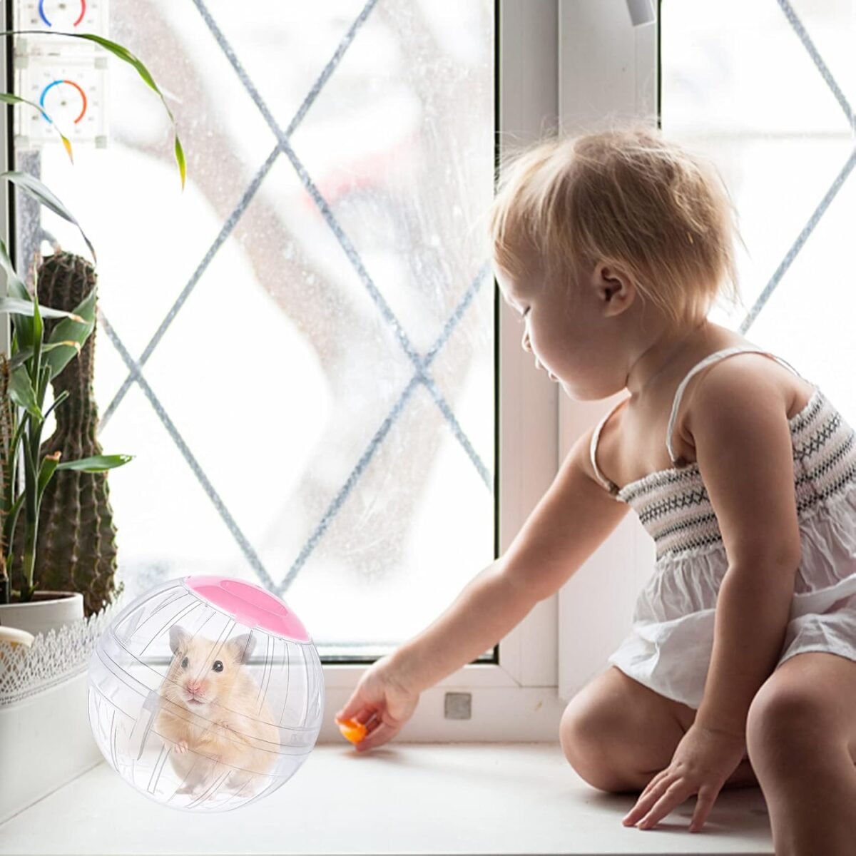 Hamster Exercise Ball, 5.7 Inch Transparent Hamster Ball Running Hamster Wheel for Dwarf Hamsters Small Pets to Reduce Boredom and Increase Activity - Image 6