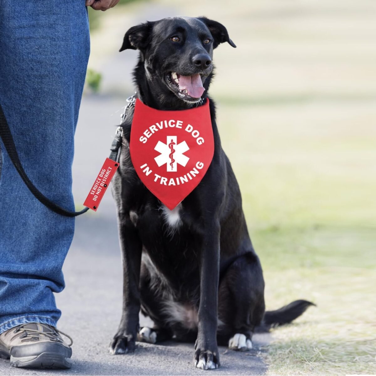 2 Pieces Service Dog in Training Red Pet Dog Bandana with Red Dog Leash Wrap (Seruice Dog) for Puppy Dog Beach Pool Accessoriesfor Pet Dog Lovers and Owners Gift - Image 3