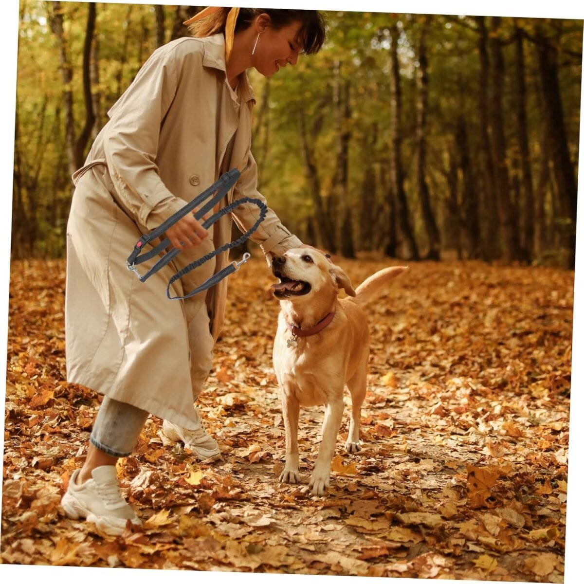 Outdoor Dog Walking Leash Hands Running Harness Heavy Duty Belt Leash Long Bungee for Dogs of Sizes - Image 3