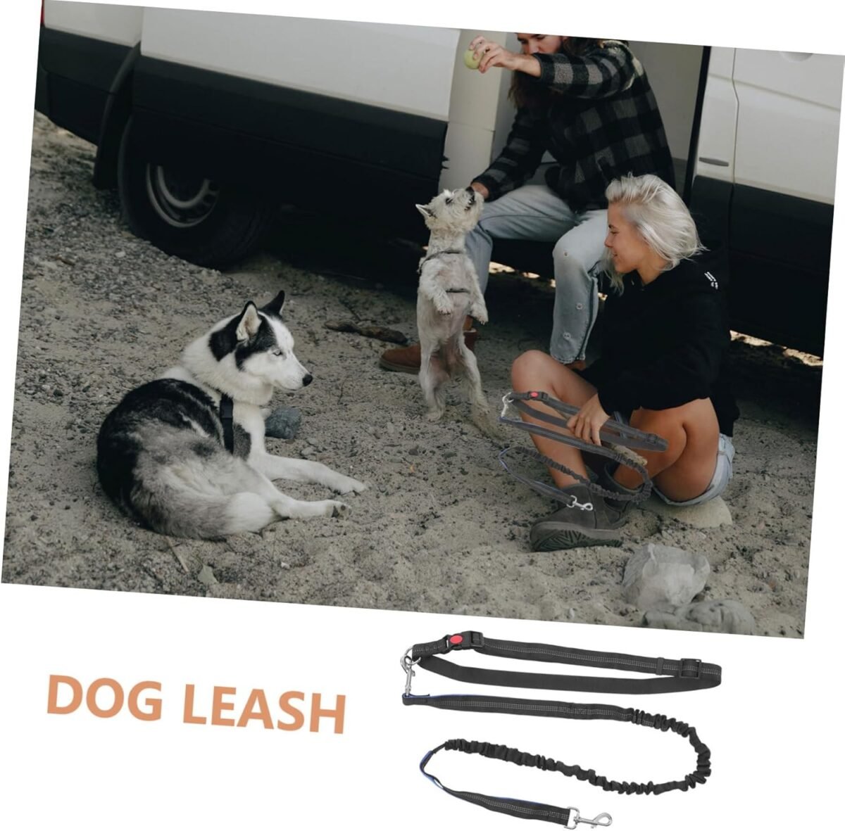 Outdoor Dog Walking Leash Hands Running Harness Heavy Duty Belt Leash Long Bungee for Dogs of Sizes - Image 8