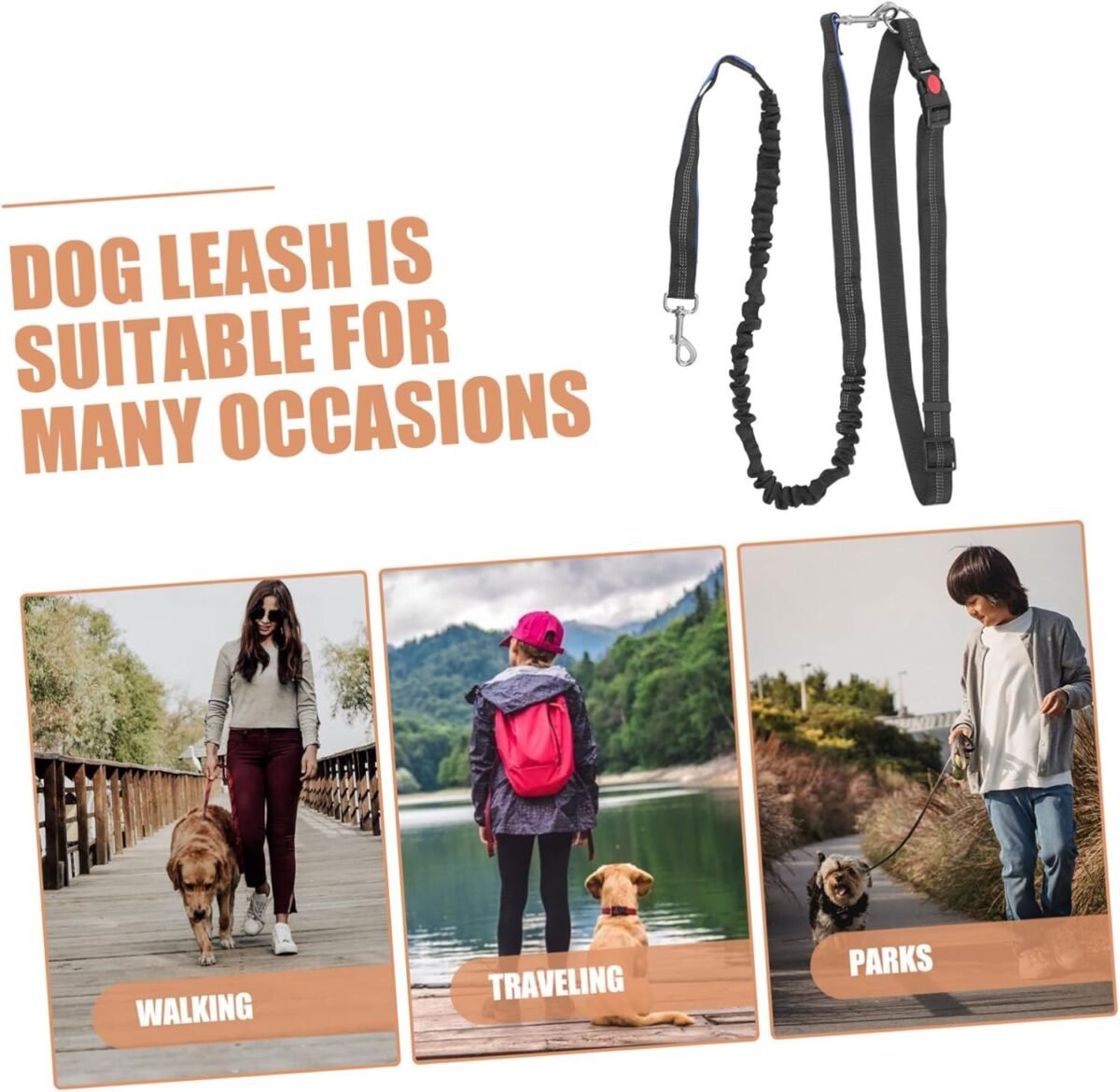 Outdoor Dog Walking Leash Hands Running Harness Heavy Duty Belt Leash Long Bungee for Dogs of Sizes - Image 9