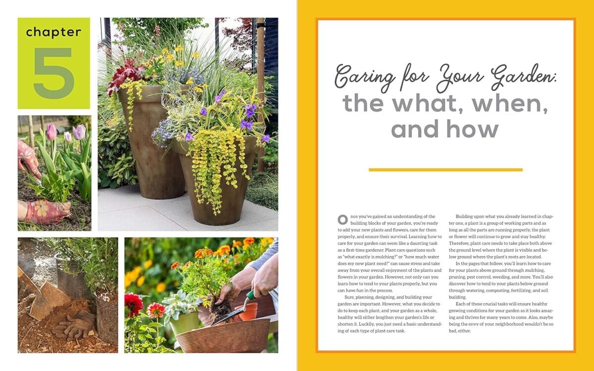 The First-Time Gardener: Growing Plants and Flowers: All the know-how you need to plant and tend outdoor areas using eco-friendly methods (Volume 2) (The First-Time Gardener's Guides, 2) - Image 4
