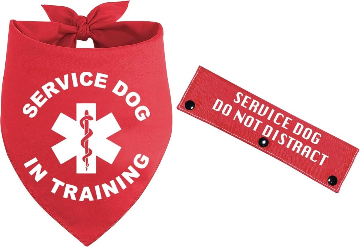 2 Pieces Service Dog in Training Red Pet Dog Bandana with Red Dog Leash Wrap (Seruice Dog) for Puppy Dog Beach Pool Accessoriesfor Pet Dog Lovers and Owners Gift - Image 2