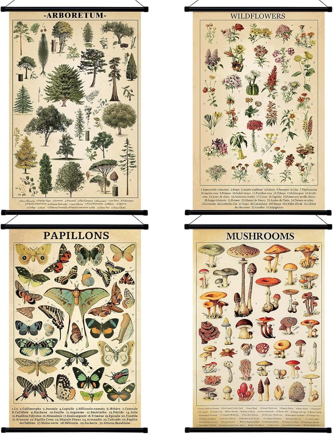 Lewtemi 4 Pcs Vintage Mushroom Wildflowers Poster Fungus Butterfly Tree Wall Hanging Prints Illustrative Reference Chart Poster for Classroom Living Room Decor, 15.7 x 23.6 Inch - Image 2