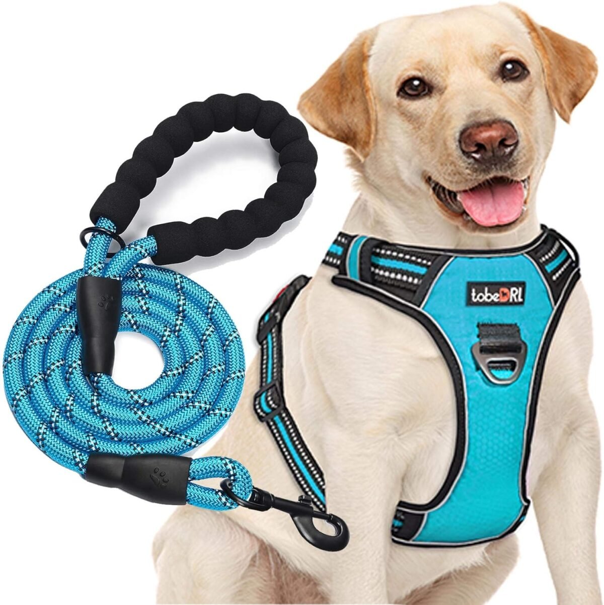 No Pull Dog Harness Adjustable Reflective Oxford Easy Control Medium Large Dog Harness with A Free Heavy Duty 5ft Dog Leash (L (Neck: 18"-25.5", Chest: 24.5"-33"), Blue Harness+Leash) - Image 2