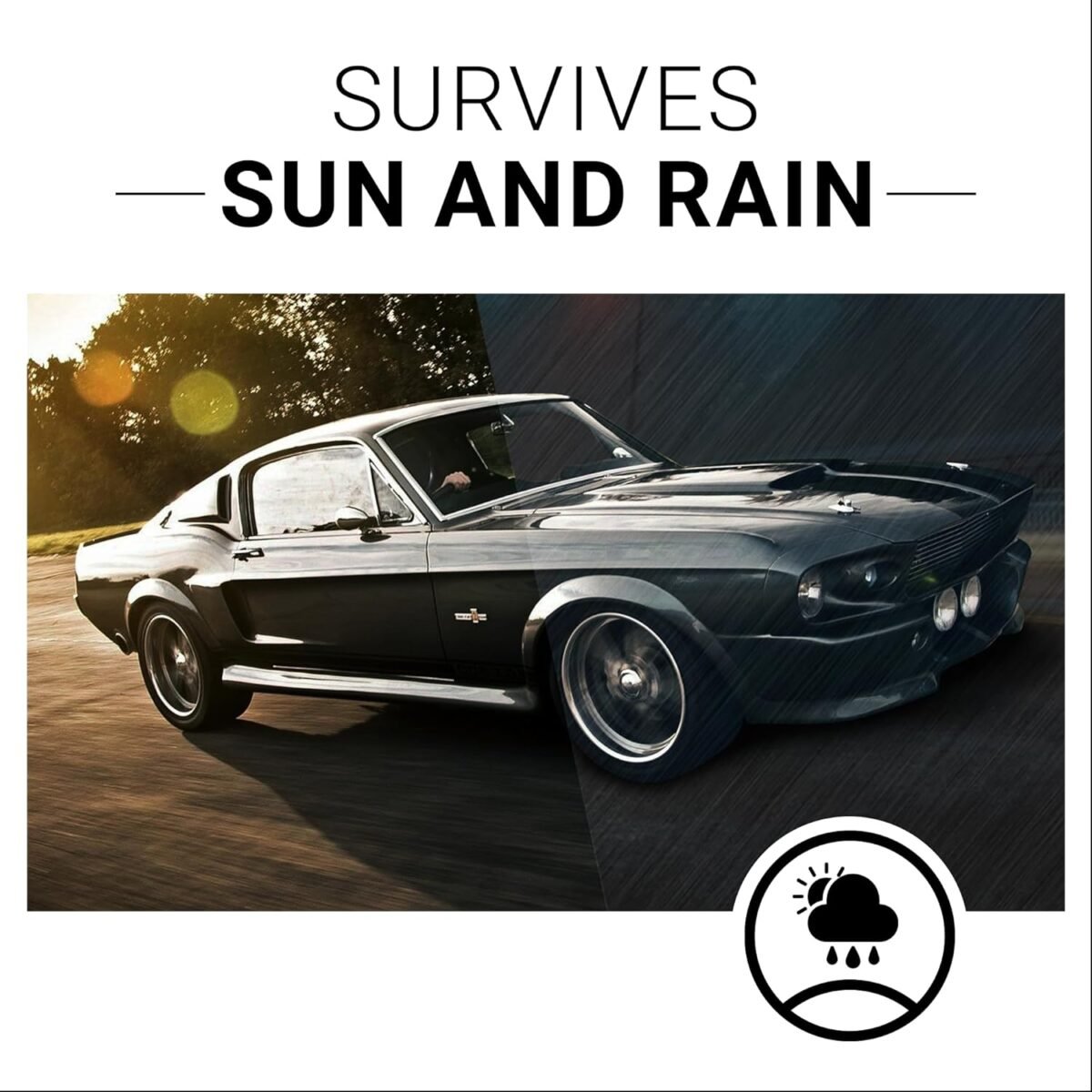 1746748376 car guys plastic restorer bring plastic rubber and vinyl back to life user friendly trim restorer safe auto detailing supplies 8 oz kit with foam applicator.jpg