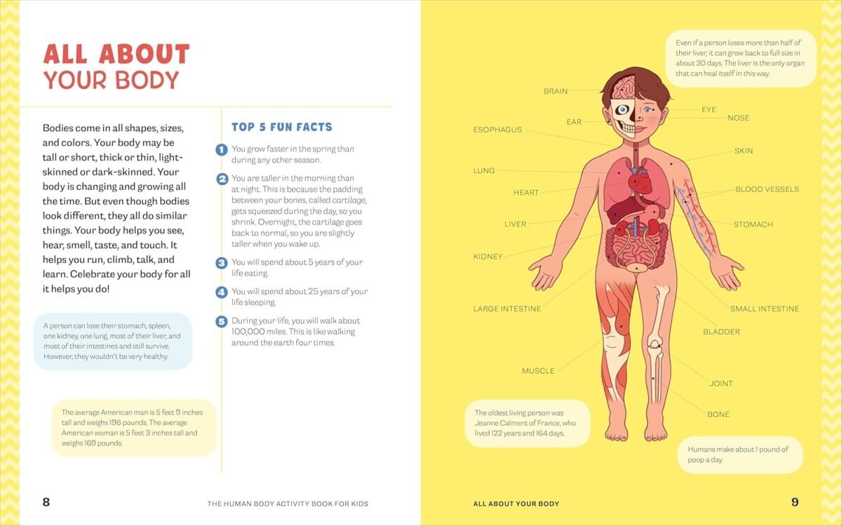 1746784331 human body activity book for kids hands on fun for grades k 3.jpg