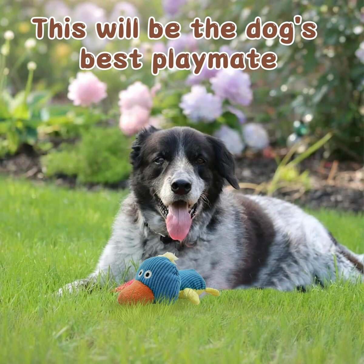1746998758 squeaky dog toys to keep them busy squeaky dog toys with soft fabric for small medium dogs for daily interaction companion training 1pcs blue duck.jpg