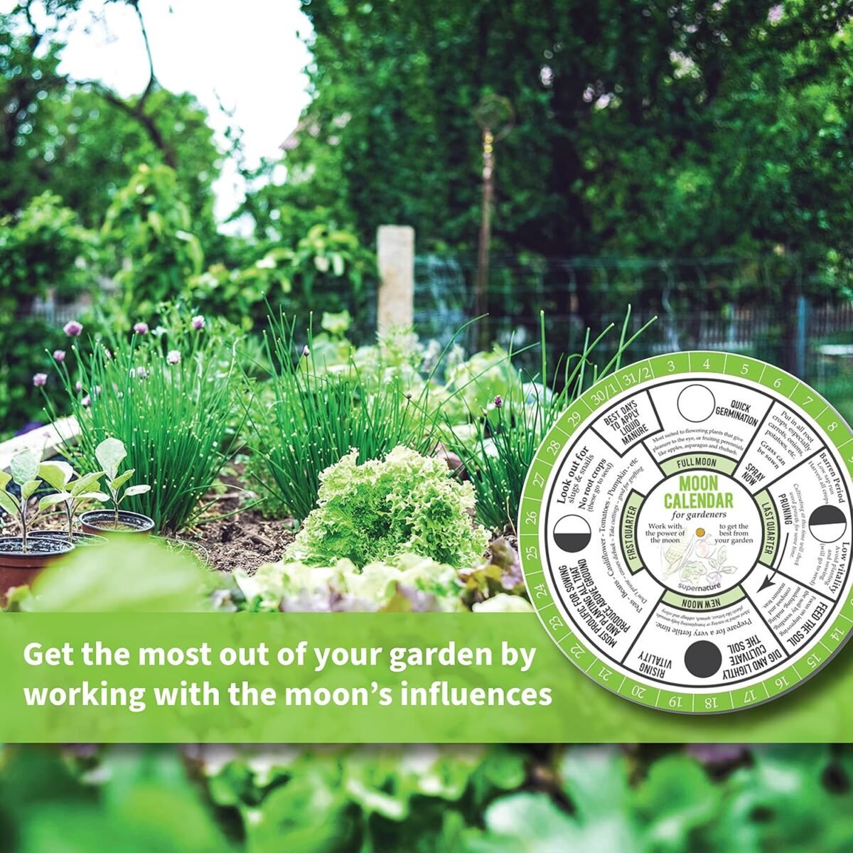 1747494034 moon calendar for gardeners learn to garden in tune with the phases of the moon. find the best times to sow plant prune harvest. perfect for the beginner gardener.jpg