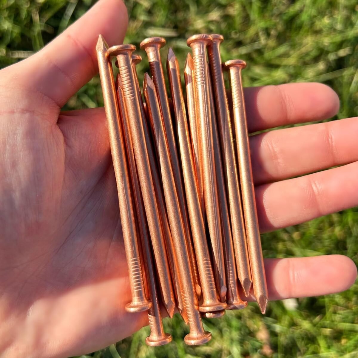 1747656848 dubbs hardware 12 pack pure copper 4 inch nail spikes heavy duty tree stump root killer eco friendly chemical free tree removal usa made durable spikes for landscaping gardening.jpg