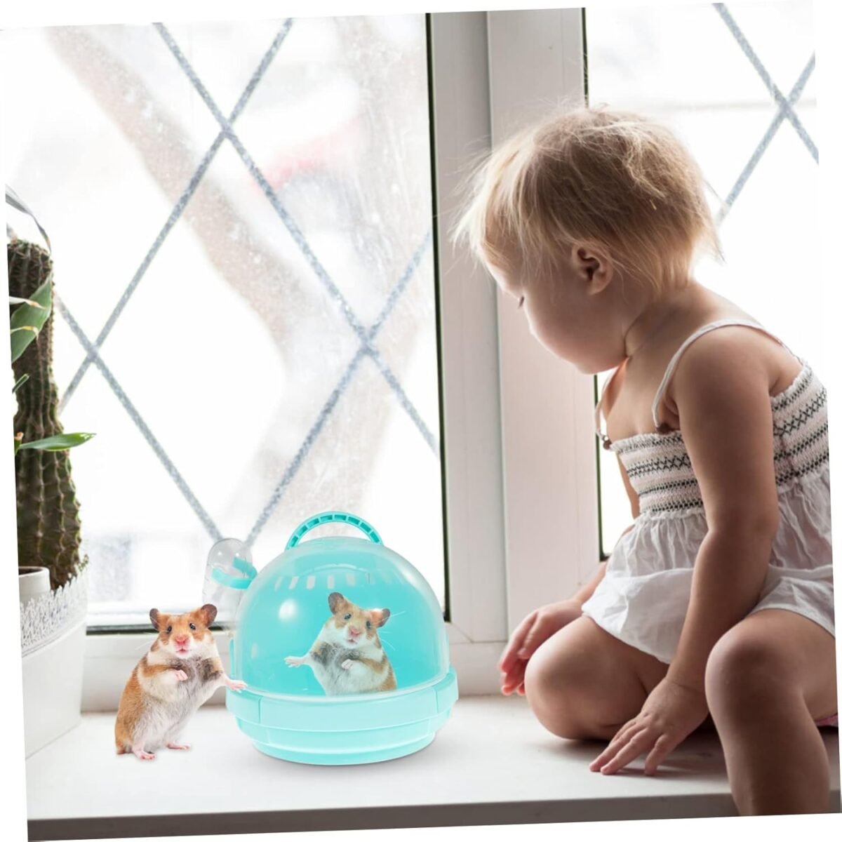 1747918405 hamster travel box comfortable sleeping box small pet carrier for easy outdoor use sturdy portable.jpg
