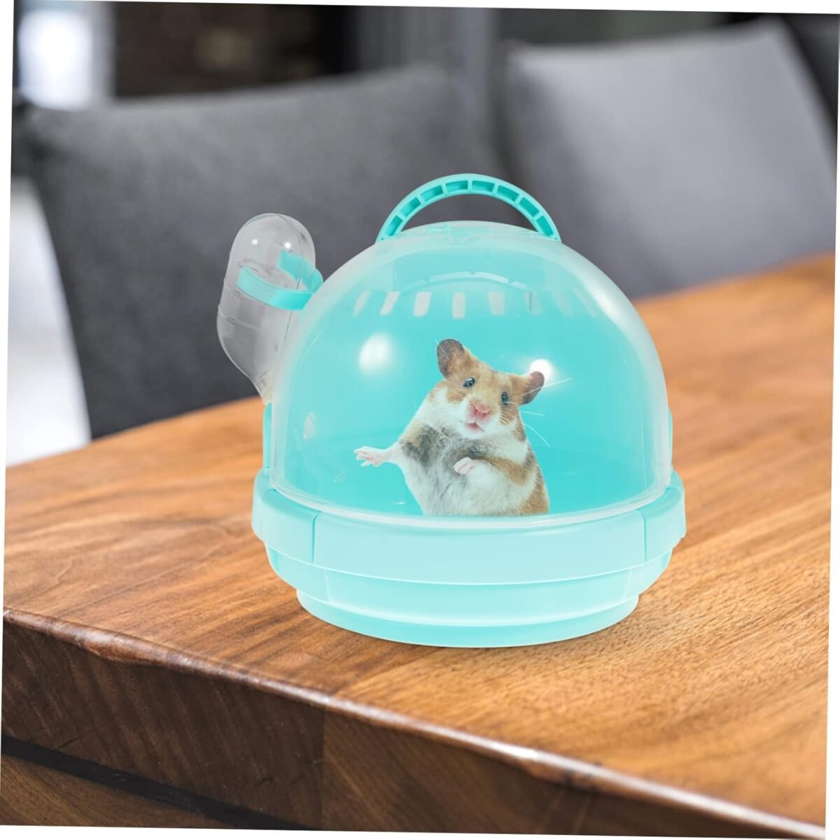 1747918408 hamster travel box comfortable sleeping box small pet carrier for easy outdoor use sturdy portable.jpg