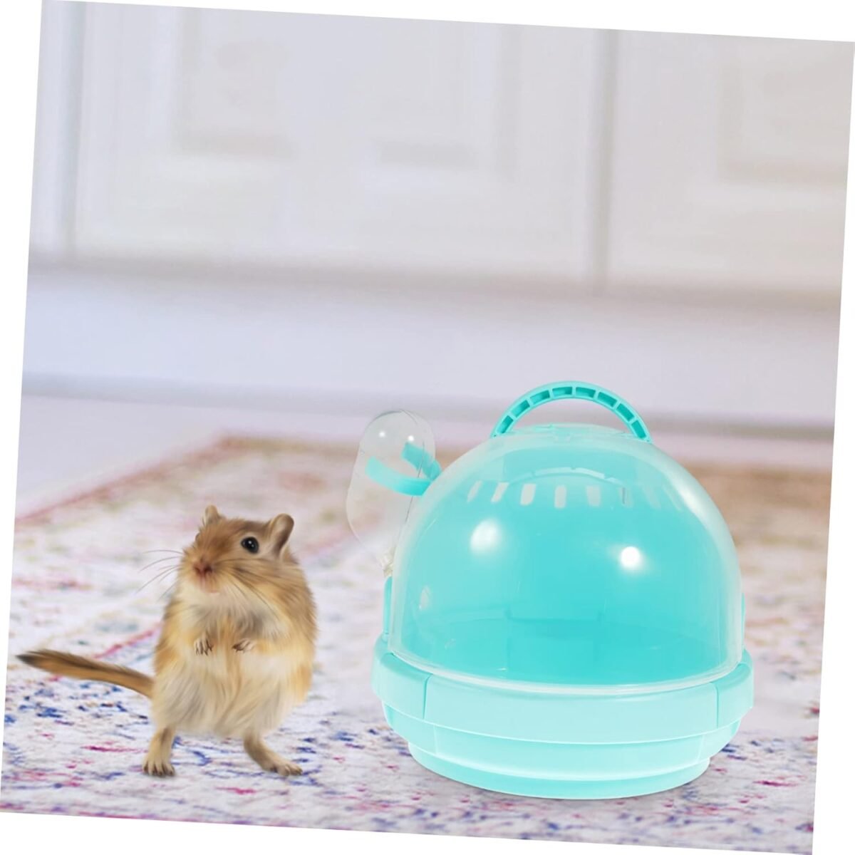 1747918409 hamster travel box comfortable sleeping box small pet carrier for easy outdoor use sturdy portable.jpg