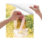ESHANG  Self-Adhesive Photo Paper Glossy Sticker Paper for Inkjet Printer, 3R 4R 5R A4  100 Sheets, 135 gsm 36Ib