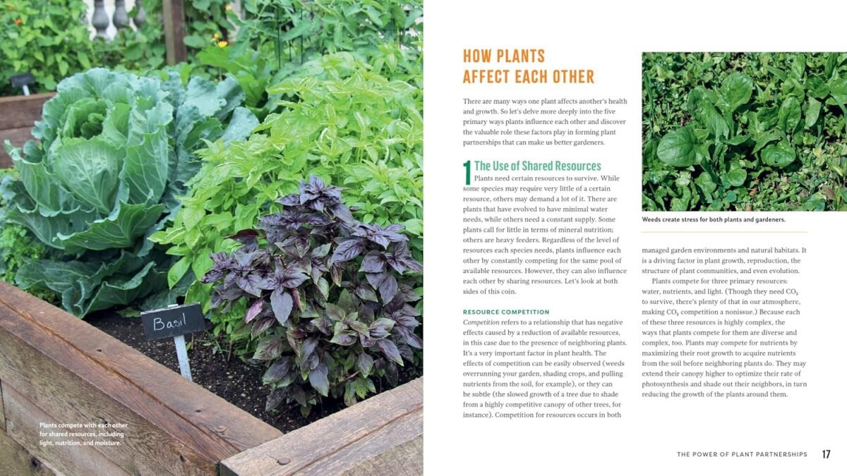 1749410864 plant partners science based companion planting strategies for the vegetable garden.jpg