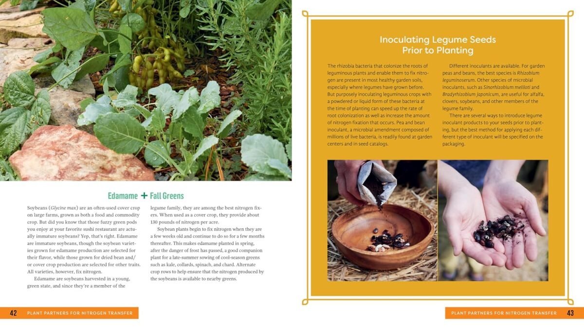 1749410865 plant partners science based companion planting strategies for the vegetable garden.jpg