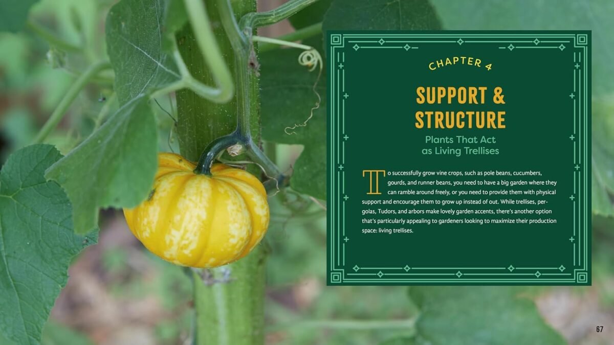 1749410866 plant partners science based companion planting strategies for the vegetable garden.jpg