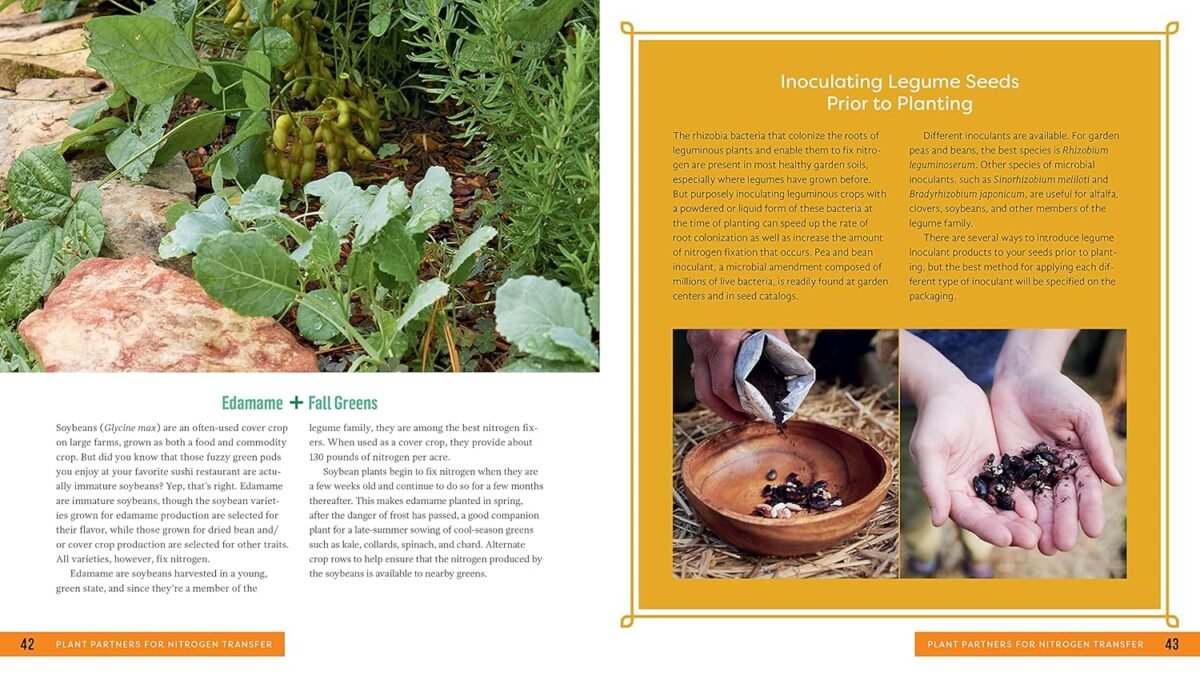 1749410869 plant partners science based companion planting strategies for the vegetable garden.jpg