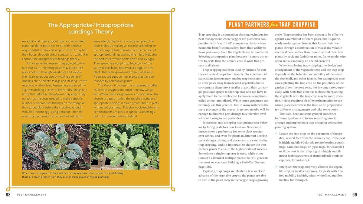 1749410871 plant partners science based companion planting strategies for the vegetable garden.jpg