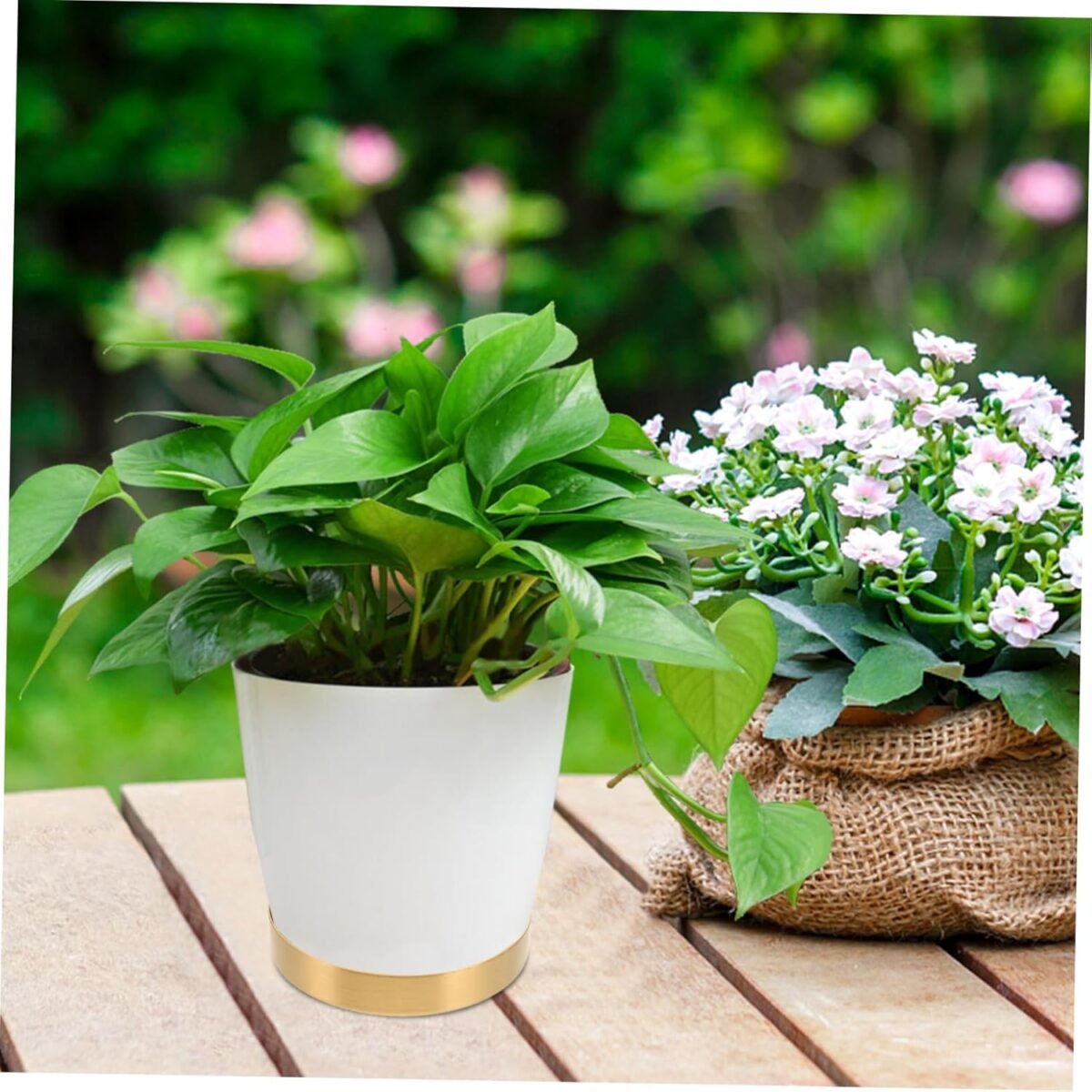 1749803592 kisangel flowerpot drip tray stainless steel heavy duty plant saucer for use easy maintenance for capturing water enhances garden decor.jpg