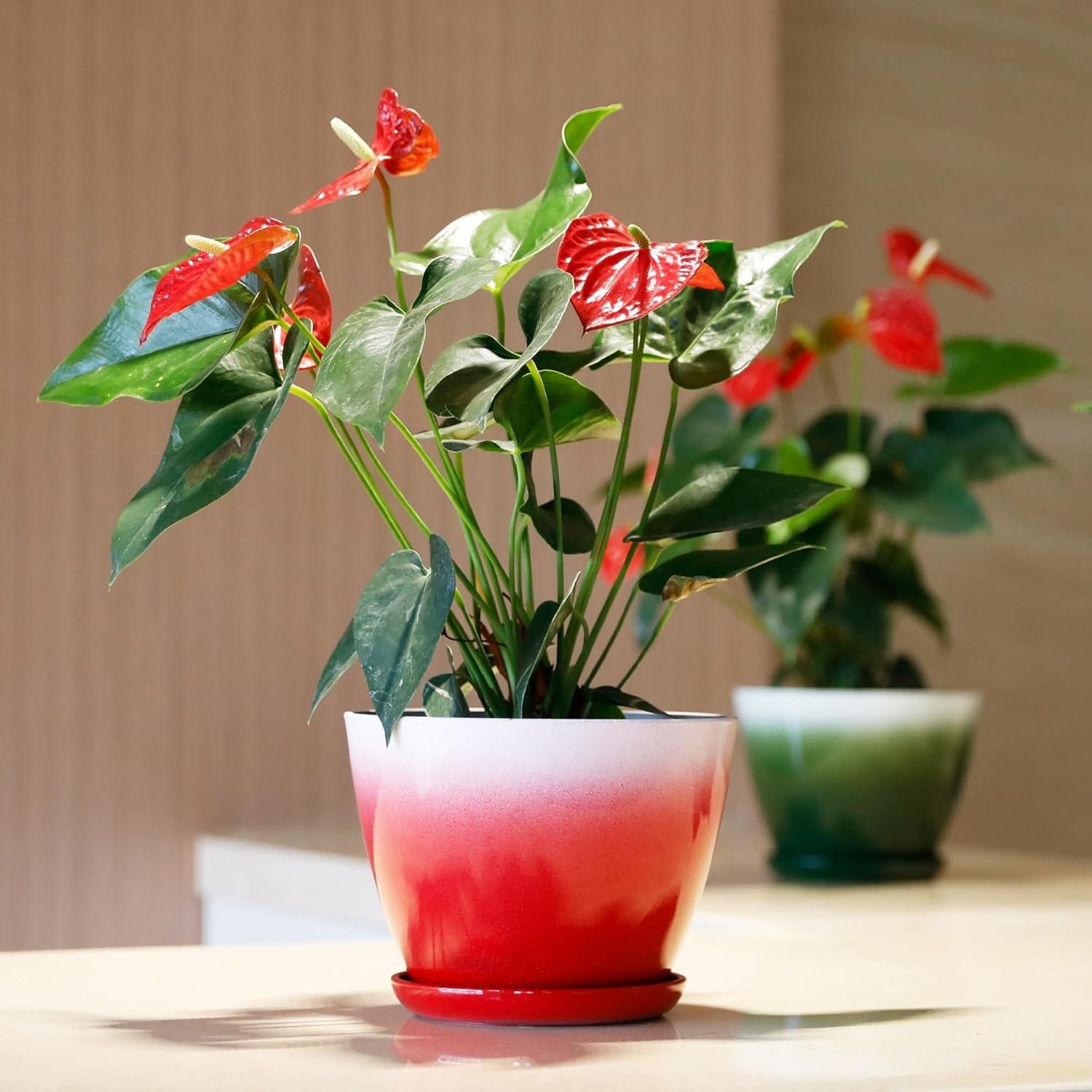 1749904222 worth garden plastic round 8 plant pots set of 6 multicolor small gloss flower pot planters with drainage hole and saucer home decorative christmas containers.jpg