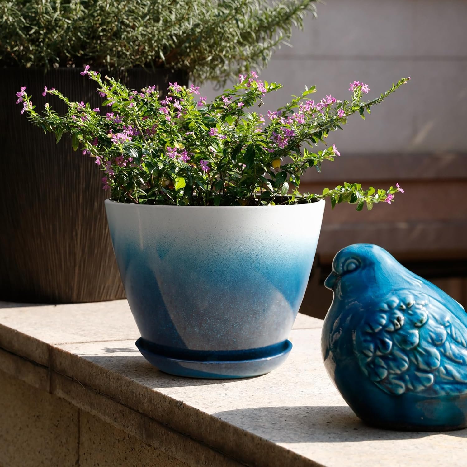 1749904223 worth garden plastic round 8 plant pots set of 6 multicolor small gloss flower pot planters with drainage hole and saucer home decorative christmas containers.jpg