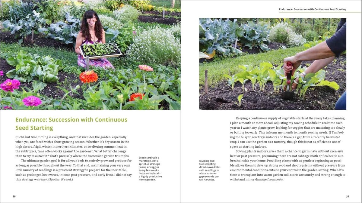 1749935019 plant grow harvest repeat grow a bounty of vegetables fruits and flowers by mastering the art of succession planting.jpg