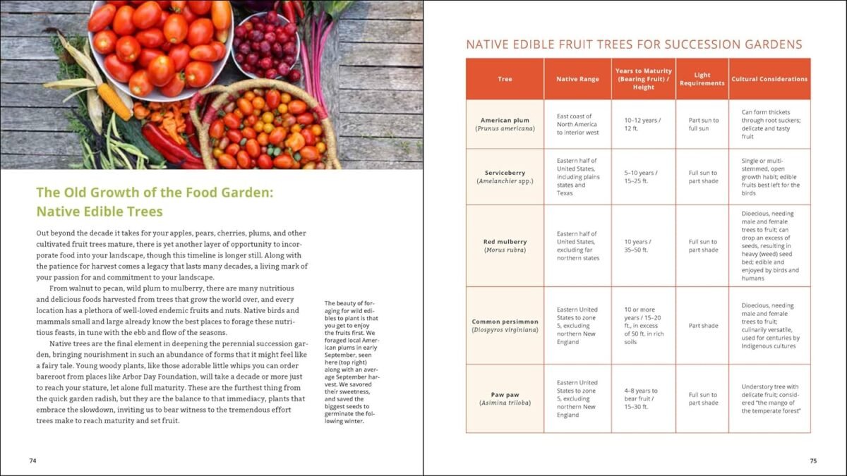 1749935020 plant grow harvest repeat grow a bounty of vegetables fruits and flowers by mastering the art of succession planting.jpg