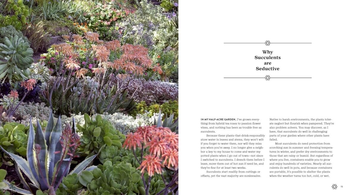1750106126 succulents simplified growing designing and crafting with 100 easy care varieties.jpg