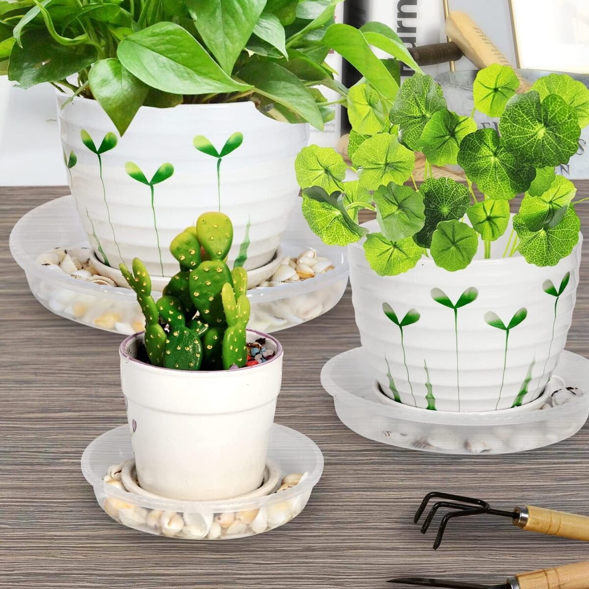 1750120948 9 pack plant saucers 6inch 8inch 10inch heavy sturdy plant trays pot tray for indoor clear plastic flower pot saucers thicker plant water drip trays for pots clear.jpg
