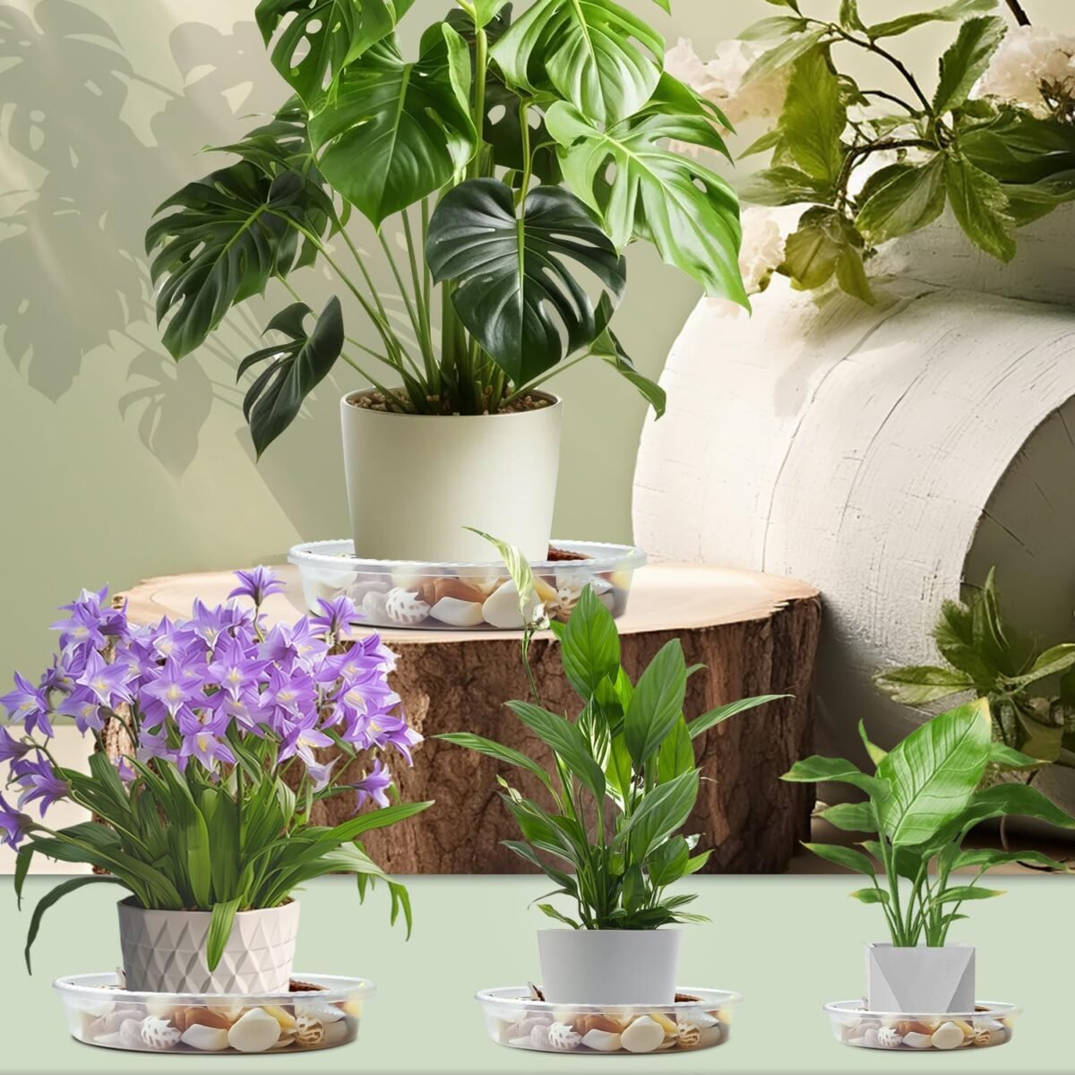 1750120949 9 pack plant saucers 6inch 8inch 10inch heavy sturdy plant trays pot tray for indoor clear plastic flower pot saucers thicker plant water drip trays for pots clear.jpg