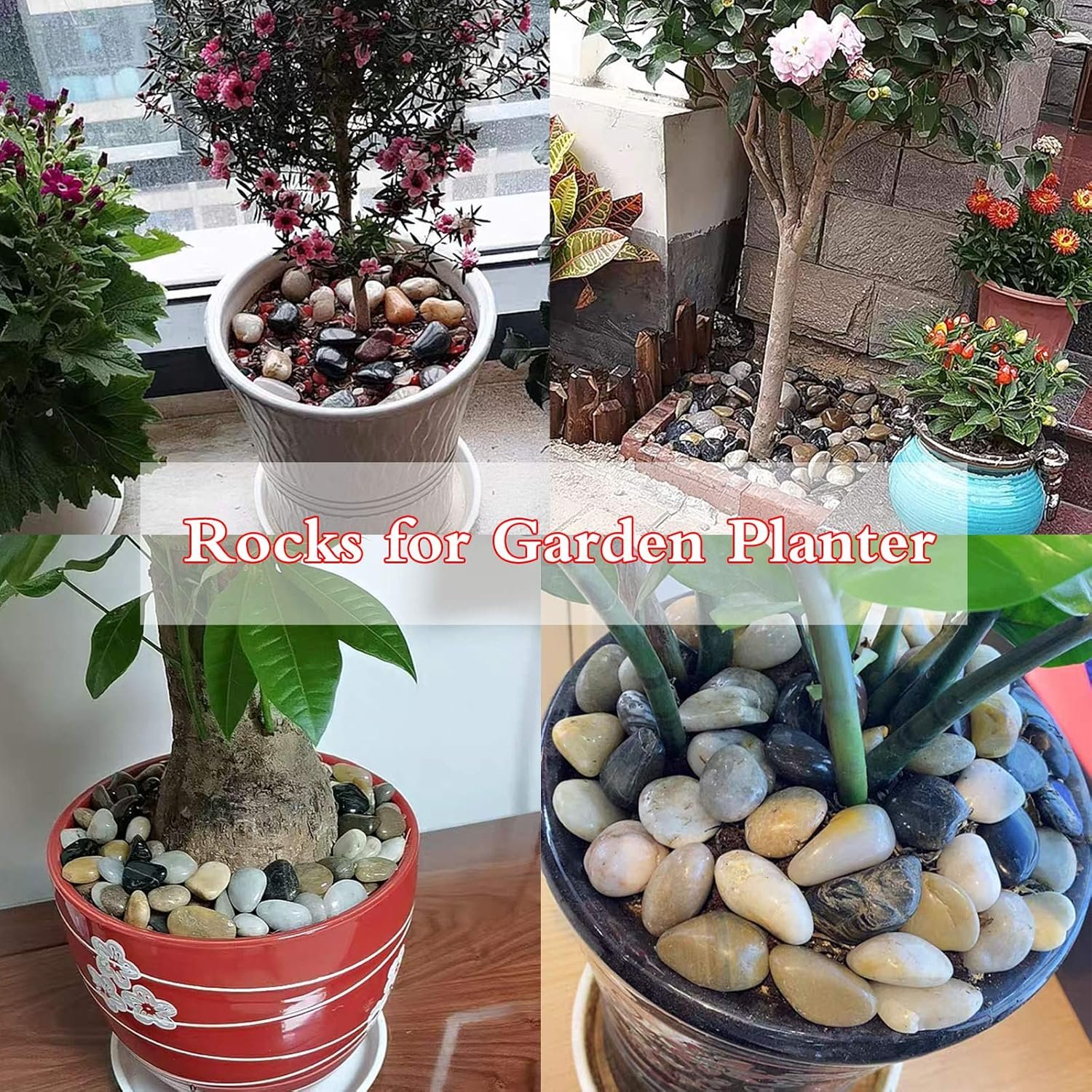 1750158113 3 lb river rocks for succulent plantsdecorative rocks bonsai garden pebblesaquarium rocks garden landscaping stones for fish tankplants vase fillers multicolor 3 lb.jpg