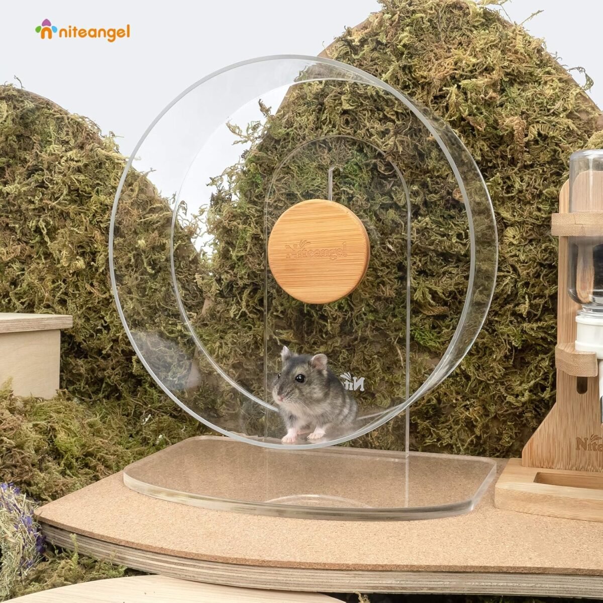 1750245309 niteangel silent hamster exercise wheel dual bearing quiet spinning acrylic hamster running wheel for dwarf hamster gerbils mice degus or other small animals s.jpg