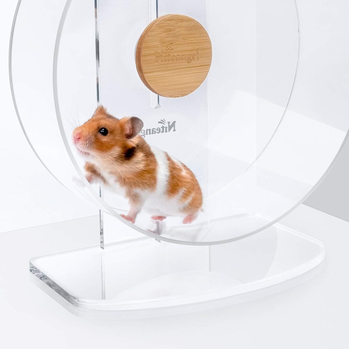 1750245320 niteangel silent hamster exercise wheel dual bearing quiet spinning acrylic hamster running wheel for dwarf hamster gerbils mice degus or other small animals s.jpg