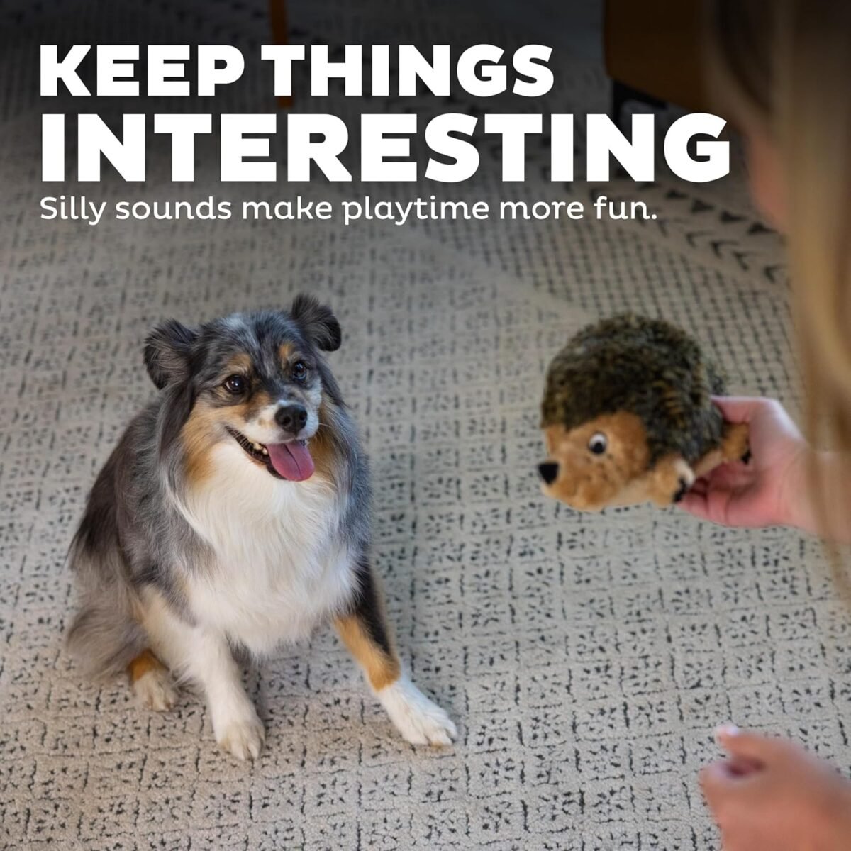 1750284523 outward hound hedgehogz plush dog toy medium.jpg