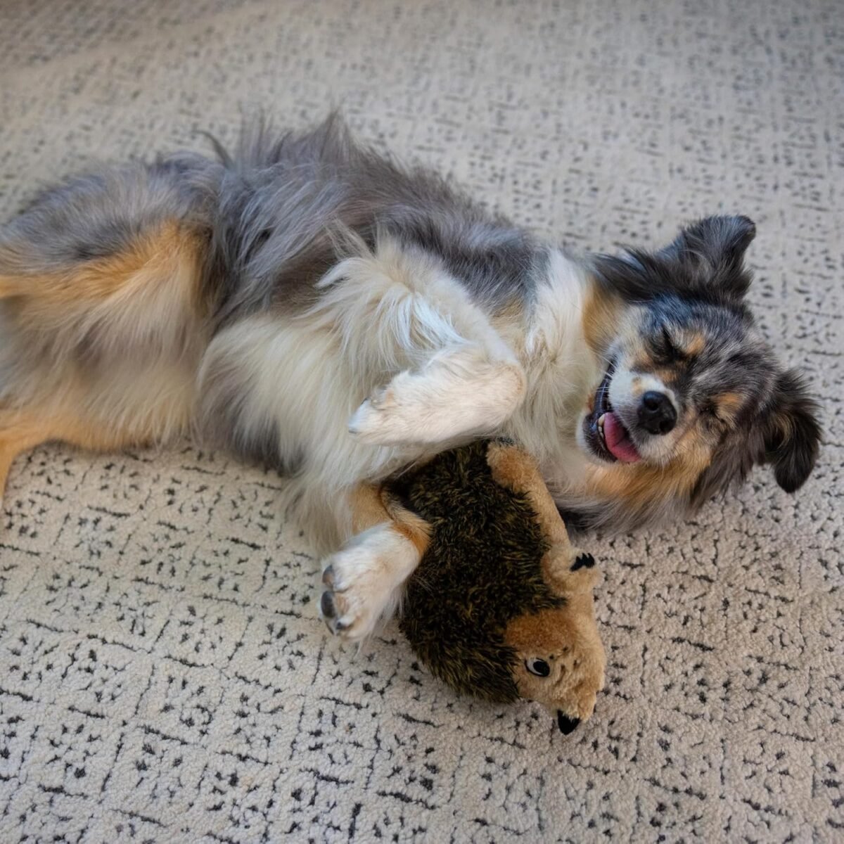 1750284525 outward hound hedgehogz plush dog toy medium.jpg