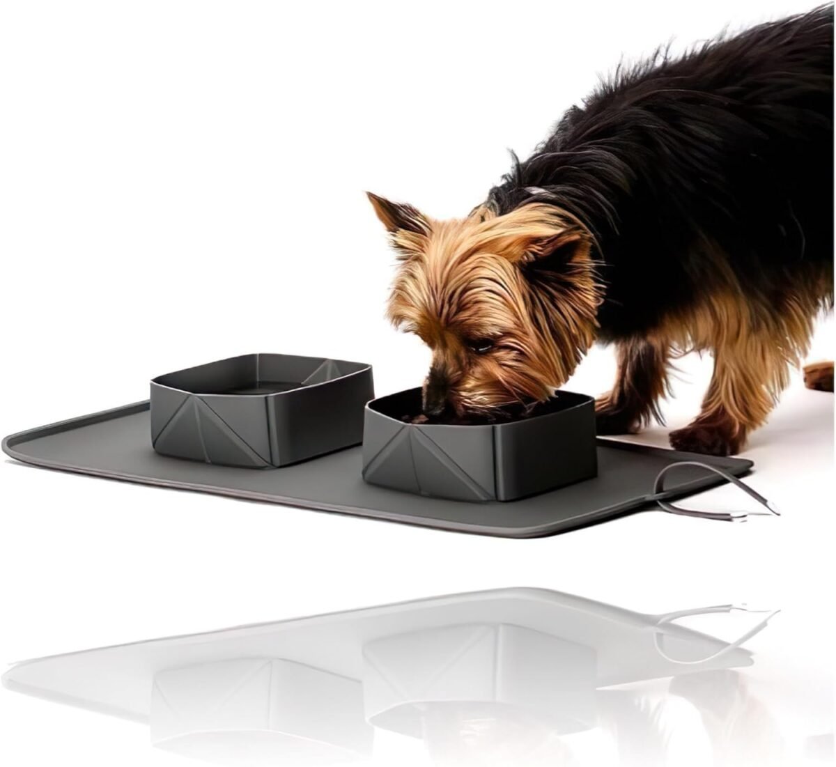 1750520575 portable pet feeder silicone bowls for dog and cat travel collapsible dish for food and water 2 in 1 solution with adjustable bow ties.jpg