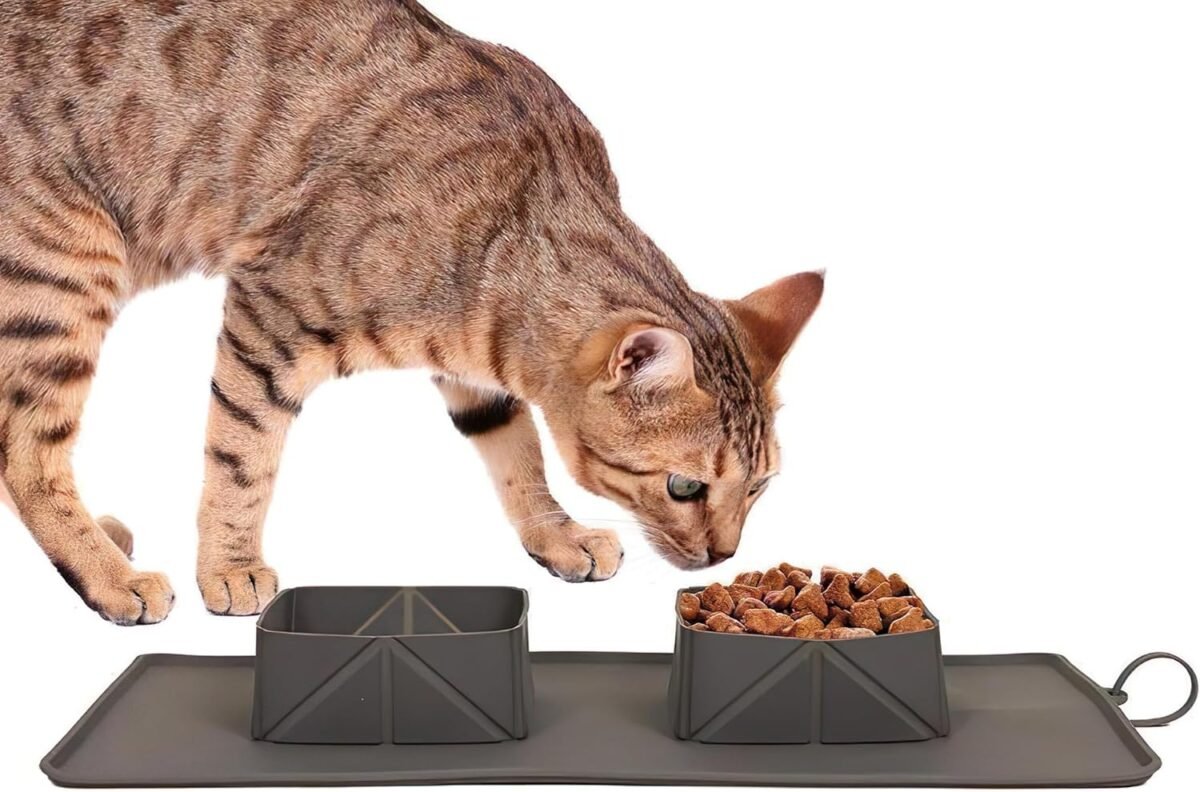 1750520577 portable pet feeder silicone bowls for dog and cat travel collapsible dish for food and water 2 in 1 solution with adjustable bow ties.jpg