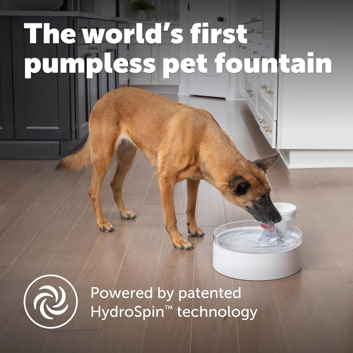 1750535583 petsafe outlast pumpless dog water fountain 128 oz – indoor water dispenser for dogs and multiple cats dishwasher safe easy assembly and cleaning water filter included.jpg