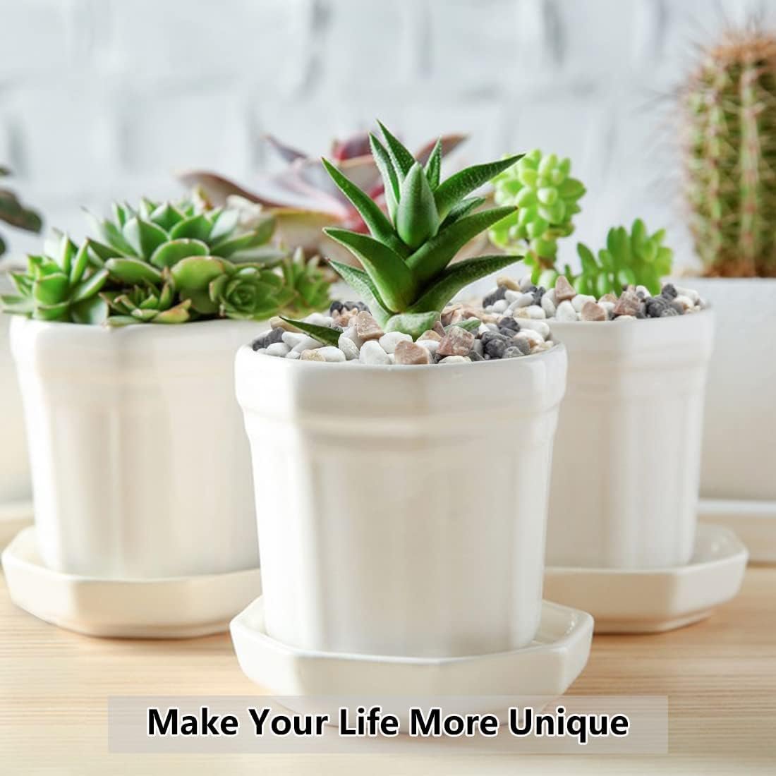 1750561527 2lb succulent and cactus gravel pebbles 15 inch natural decorative polished stones river rocks for vases aquariums terrarium and outdoor gardening mixed color.jpg