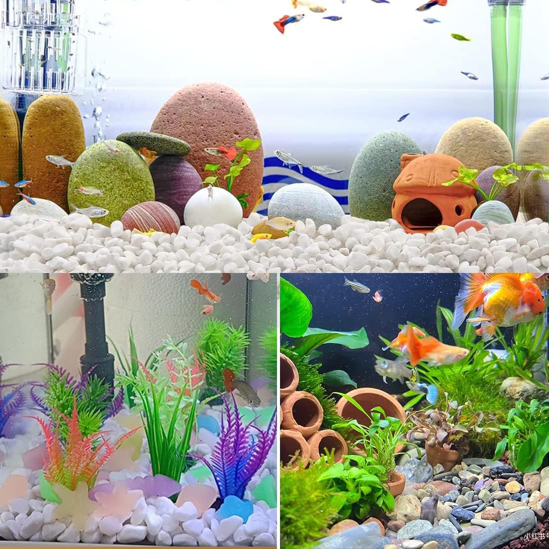 1750561528 2lb succulent and cactus gravel pebbles 15 inch natural decorative polished stones river rocks for vases aquariums terrarium and outdoor gardening mixed color.jpg