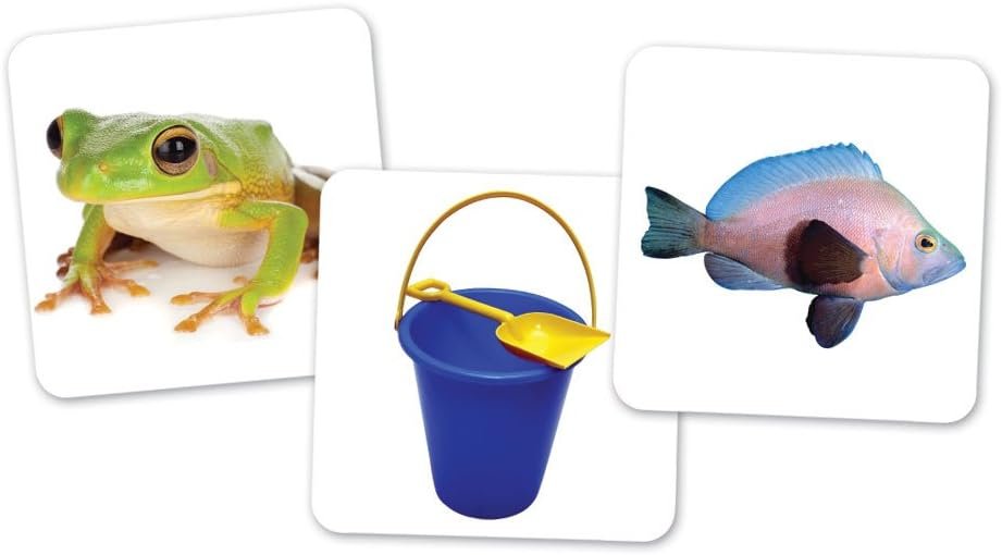 1750575472 learning resources vowel owls sorting set word recognition assorted colors set of 6 ages 5.jpg