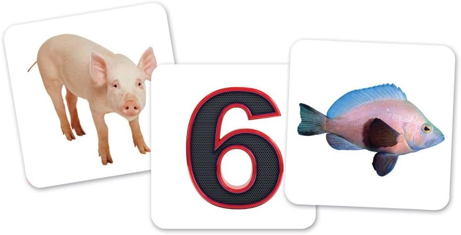 1750575474 learning resources vowel owls sorting set word recognition assorted colors set of 6 ages 5.jpg