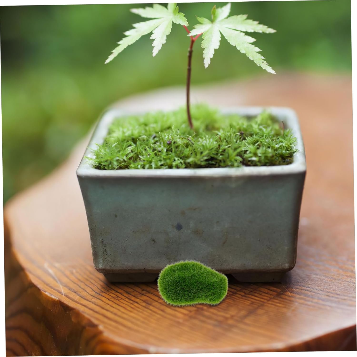 1750615359 villcase 20pcs artificial moss rocks for indoor plants and garden arrangements realistic decorative stones for floral crafts maintenance greenery for fairy gardens and.jpg