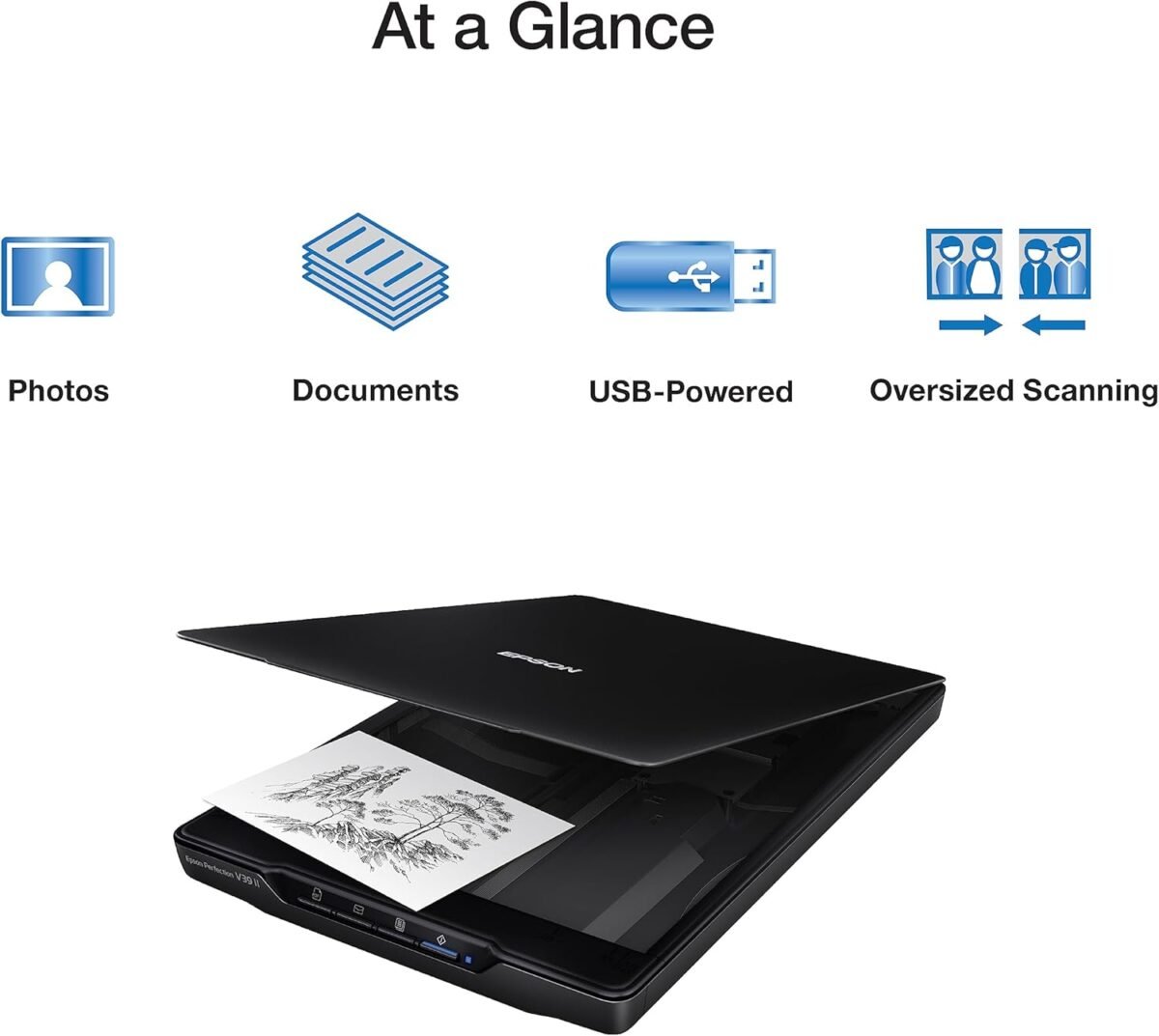 1750707521 epson perfection v39 ii color photo and document flatbed scanner 4800 dpi optical resolution high rise removable lid scan to cloud usb power image scanning black.jpg
