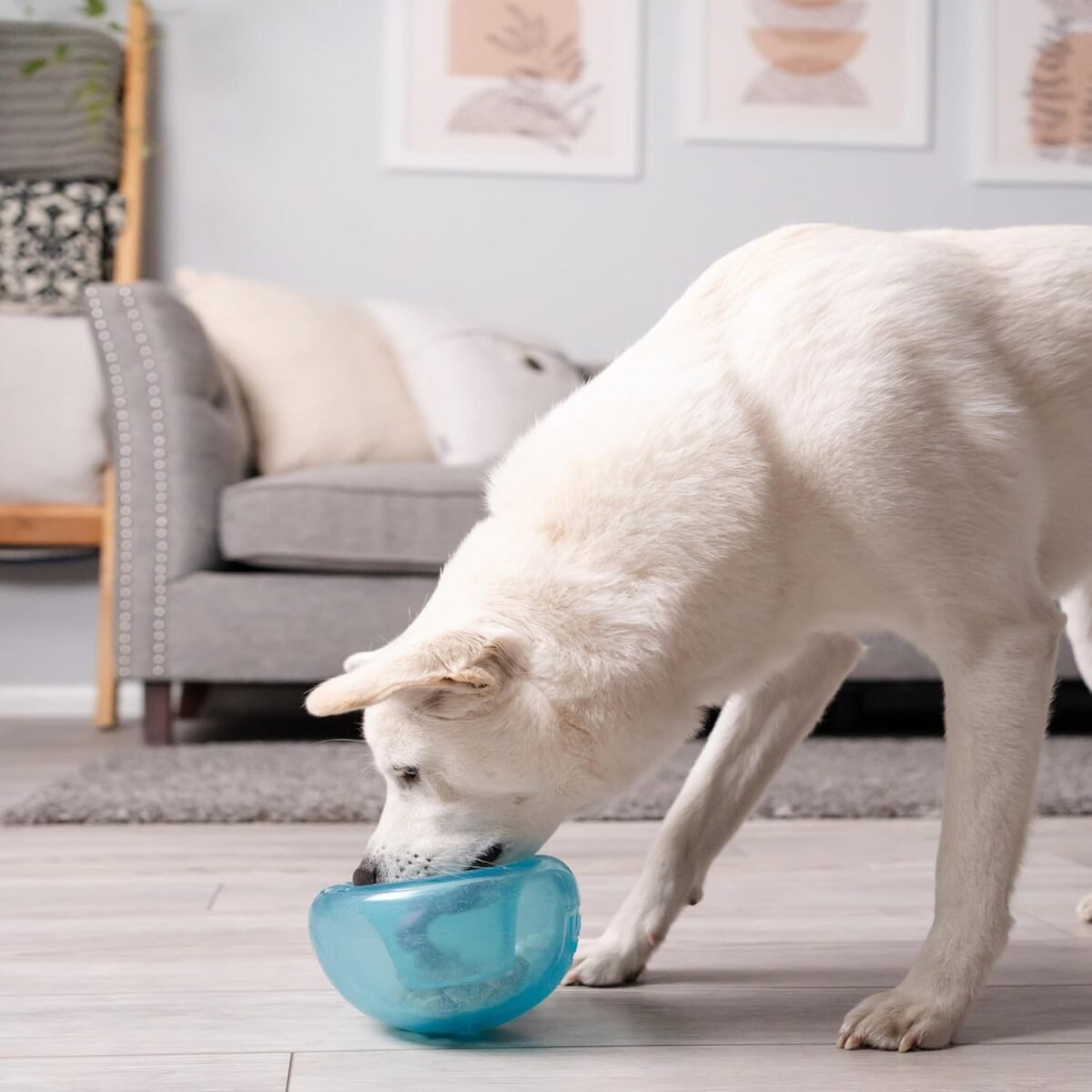 1750714508 outward hound by planet dog snoop durable interactive treat dispensing dog toy large blue.jpg