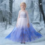 2025 Princess Dresses Elsa Girls Kids Snow Queen Clothes Carnival Party Gown Cloak Children Birthday Cosplay Costume Dress