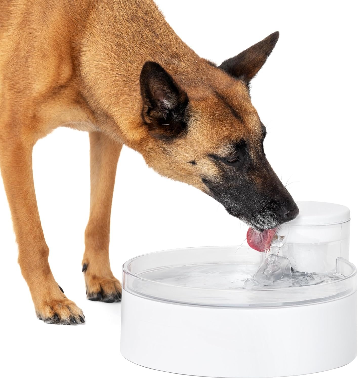 Petsafe outlast pumpless dog water fountain 128 oz – indoor water dispenser for dogs and multiple cats dishwasher safe easy assembly and cleaning water filter included.jpg