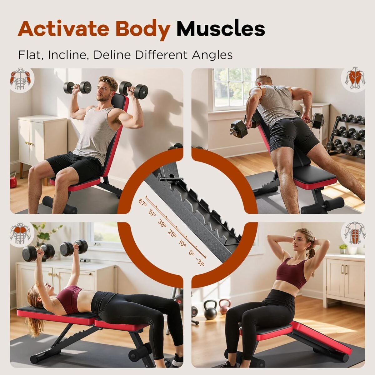 1752466070 basic weight bench for home gym foldable workout bench with 8 backrests 660lbs weight capacity adjustable bench.jpg